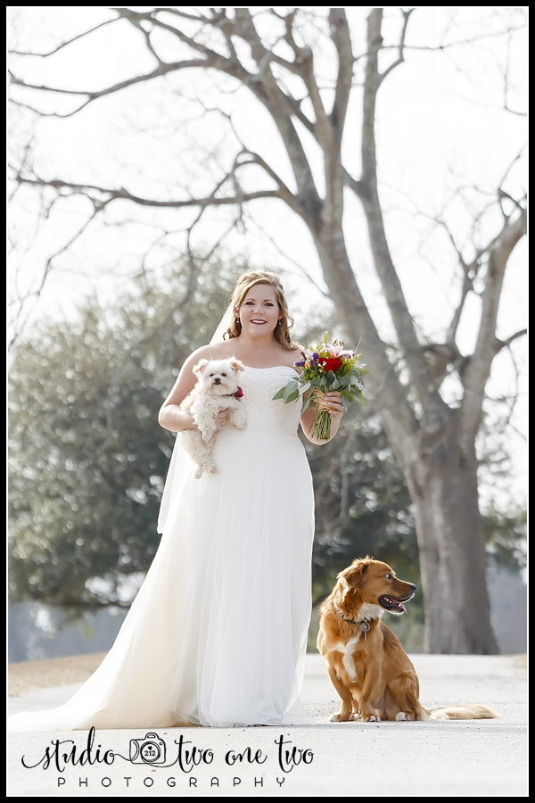 Bride with her dogs