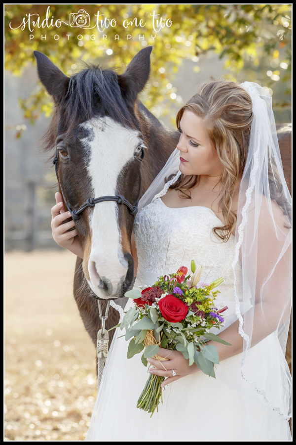 Brides with horses